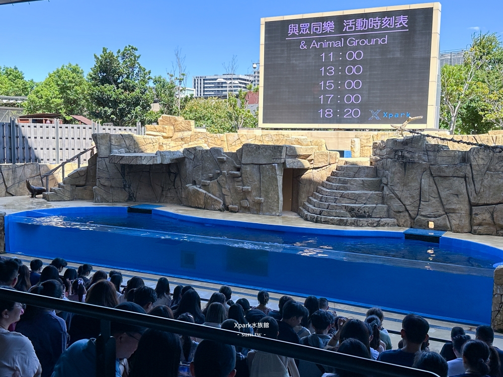 Xpark水族館|桃園青埔景點。走進夢幻國度欣賞水母、魟魚、鯊魚~必拍海底世界推薦 Xpark水族館|桃園青埔景點。走進夢幻國度欣賞水母、魟魚、鯊魚~必拍海底世界推薦