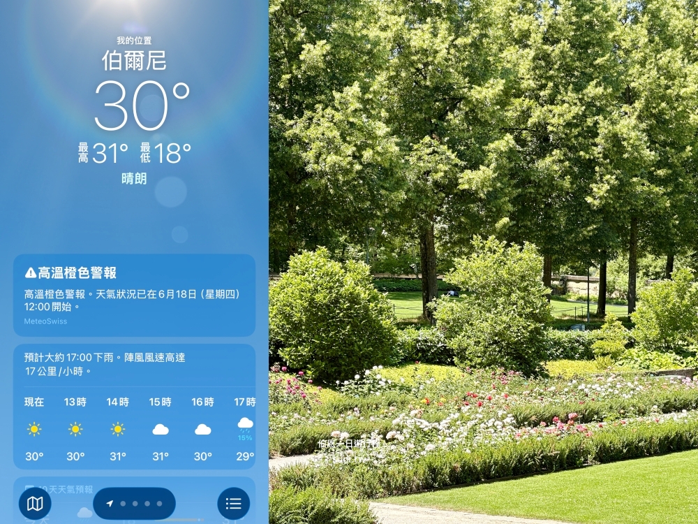 伯恩30°C橙色高溫警報MeteoSwiss六月氣象通知玫瑰園背景