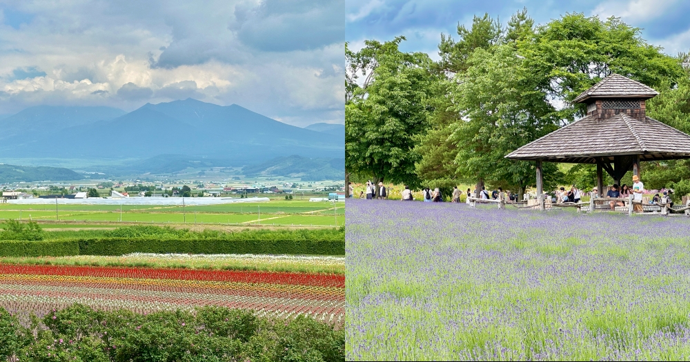 北海道富田農場｜夏季必去的免費花海景點。薰衣草花海、彩虹花布 @欣晴。美食旅遊生活分享