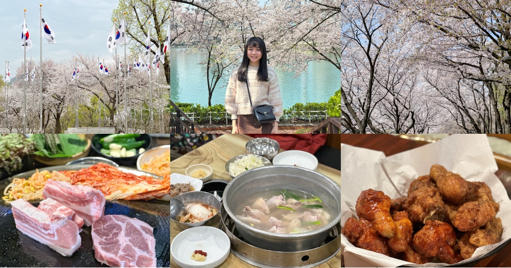 首爾自由行4天3夜｜8個櫻花景點、板橋住宿、首爾江南美食推薦 @欣晴。美食旅遊生活分享