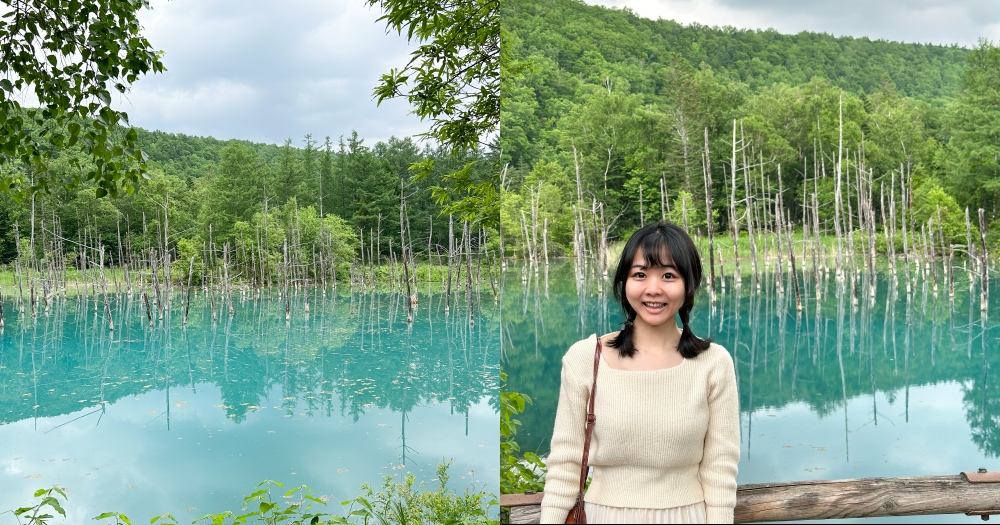 北海道景點推薦｜美瑛白金青池。夢幻青池交通方式 @欣晴。美食旅遊生活分享