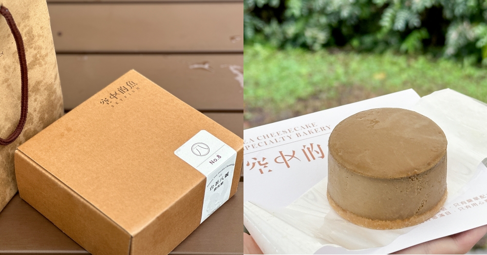 南投伴手禮推薦｜空中的魚。不添加麵粉~靠雞蛋和乳脂肪製成的純粹乳酪蛋糕 @欣晴。美食旅遊生活分享