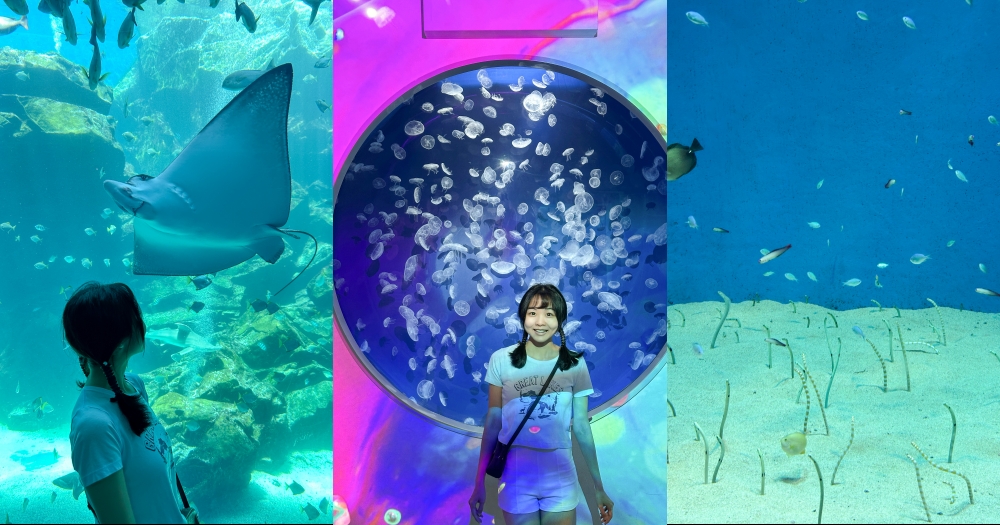 Xpark水族館｜桃園青埔景點。走進夢幻國度欣賞水母、魟魚、鯊魚~必拍海底世界推薦 @欣晴。美食旅遊生活分享
