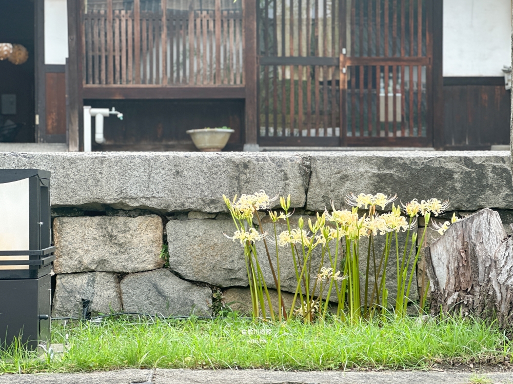 倉敷川遊船體驗全攻略|倉敷美觀地區必玩景點、購票方式與注意事項 倉敷川遊船體驗全攻略|倉敷美觀地區必玩景點、購票方式與注意事項