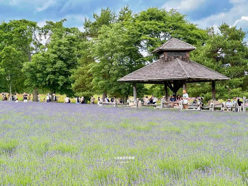 北海道富田農場|夏季必去的免費花海景點。薰衣草花海、彩虹花布 北海道富田農場|夏季必去的免費花海景點。薰衣草花海、彩虹花布
