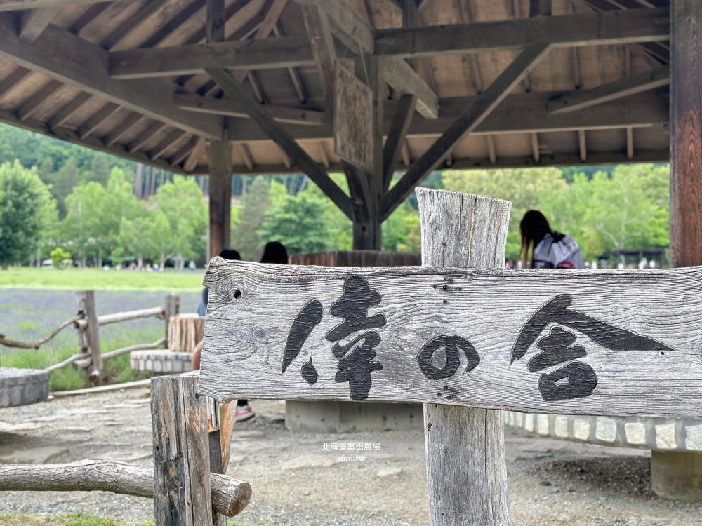 北海道富田農場|夏季必去的免費花海景點。薰衣草花海、彩虹花布 北海道富田農場|夏季必去的免費花海景點。薰衣草花海、彩虹花布