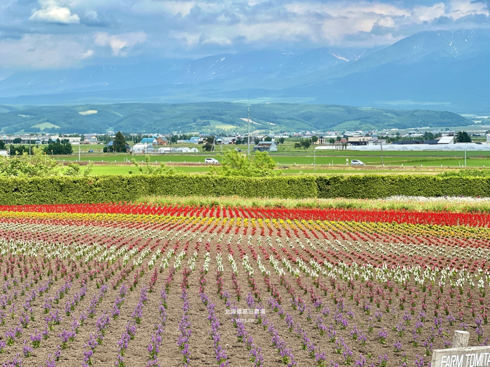 北海道富田農場｜夏季必去的免費花海景點。薰衣草花海、彩虹花布