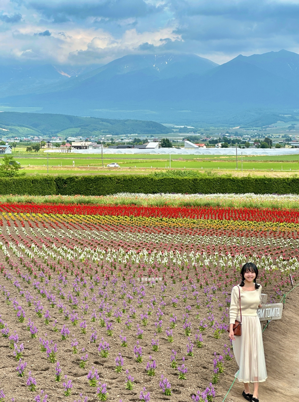 北海道富田農場|夏季必去的免費花海景點。薰衣草花海、彩虹花布 北海道富田農場|夏季必去的免費花海景點。薰衣草花海、彩虹花布