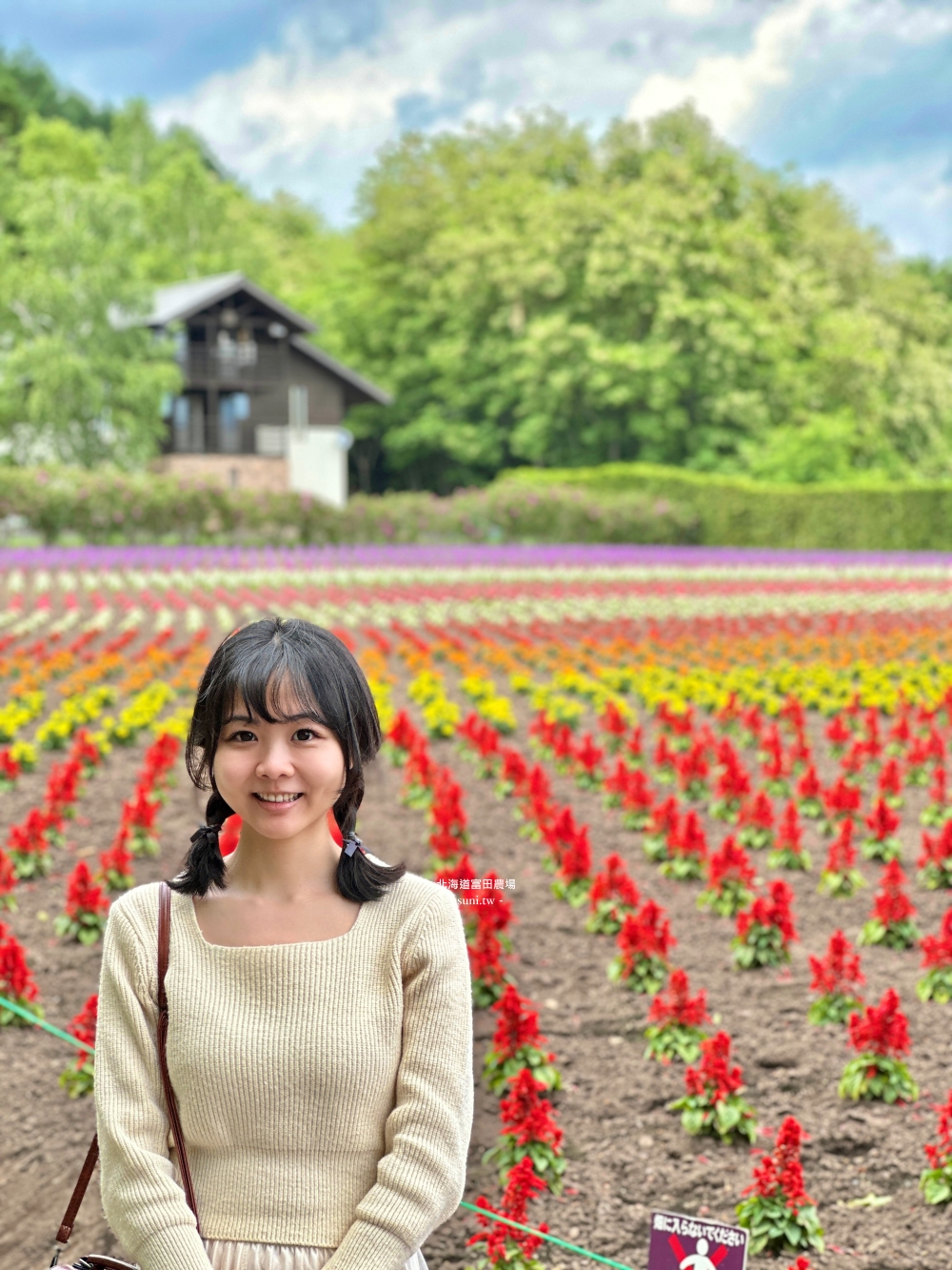 北海道富田農場|夏季必去的免費花海景點。薰衣草花海、彩虹花布 北海道富田農場|夏季必去的免費花海景點。薰衣草花海、彩虹花布