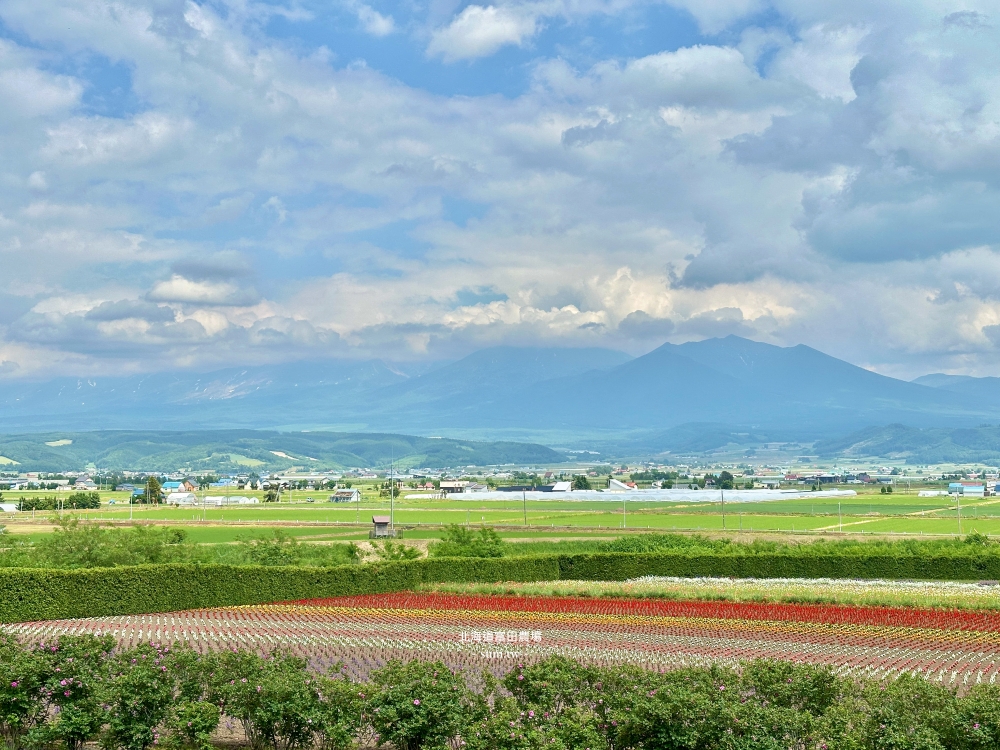 北海道富田農場|夏季必去的免費花海景點。薰衣草花海、彩虹花布 北海道富田農場|夏季必去的免費花海景點。薰衣草花海、彩虹花布