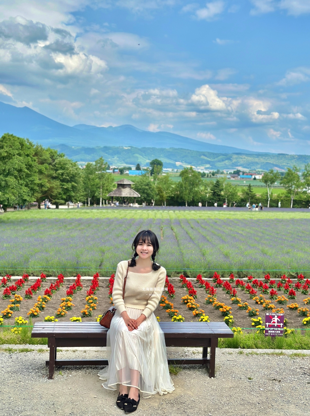 北海道富田農場|夏季必去的免費花海景點。薰衣草花海、彩虹花布 北海道富田農場|夏季必去的免費花海景點。薰衣草花海、彩虹花布