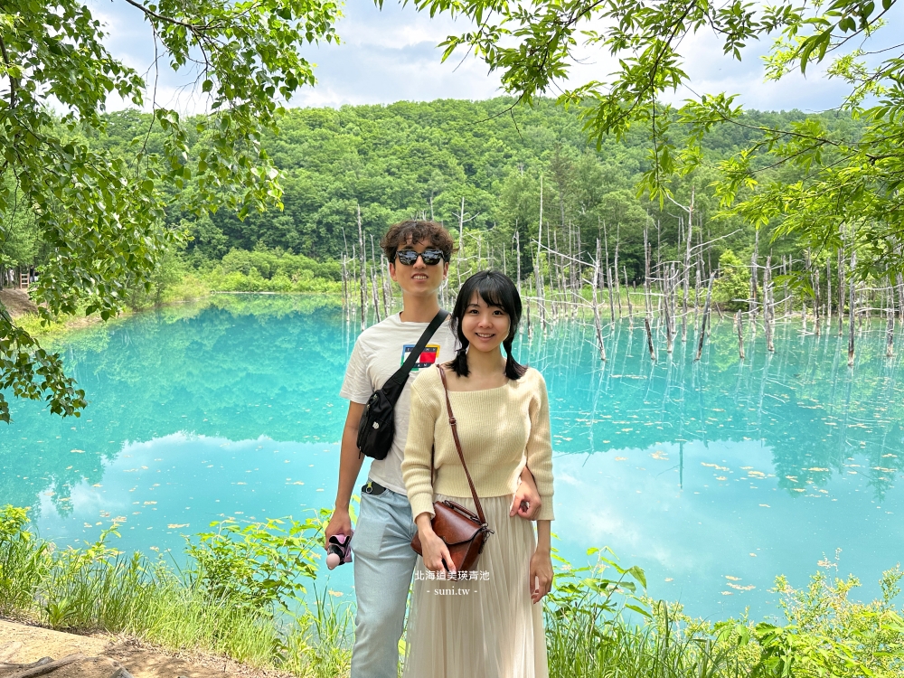 北海道景點推薦｜美瑛白金青池。夢幻青池交通方式