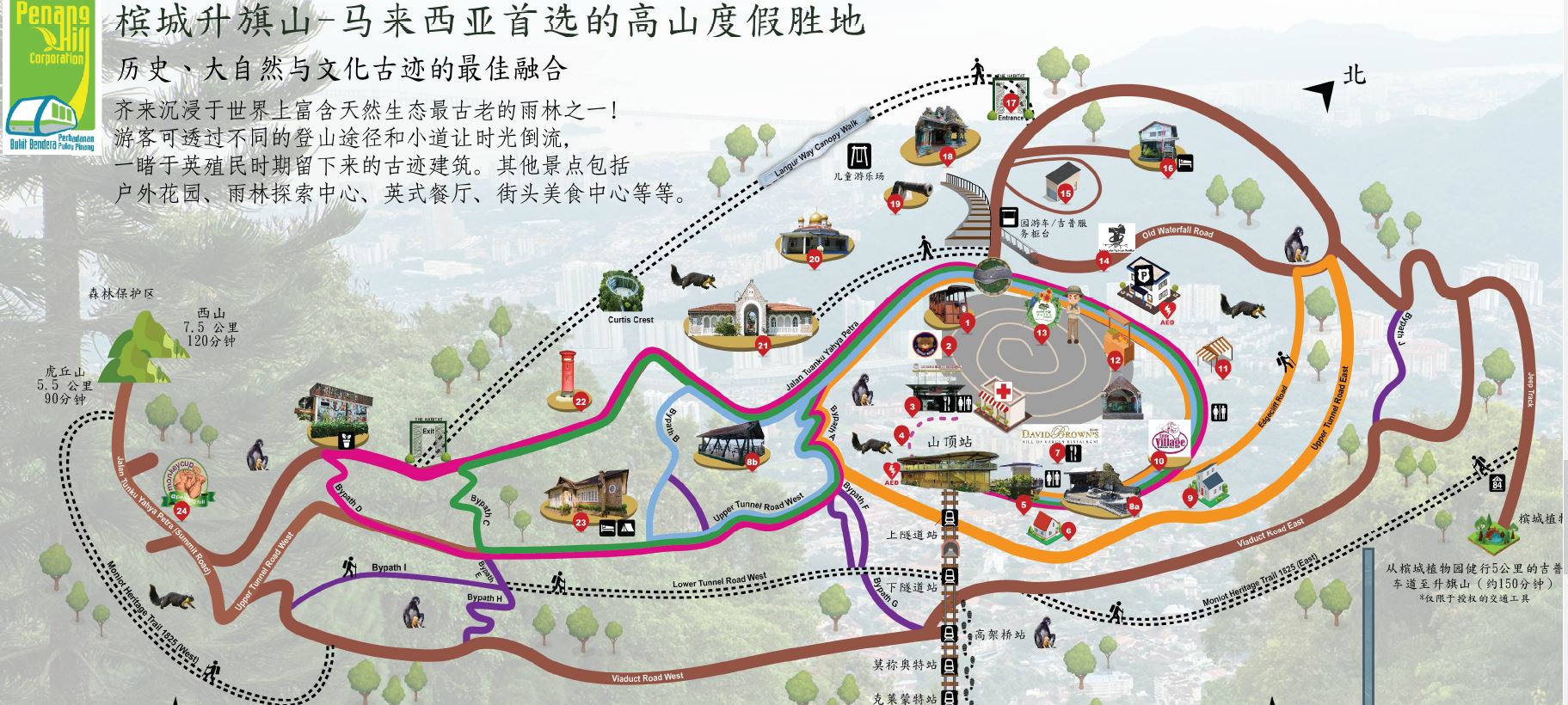 升旗山Penang Hill攻略2026｜檳城必去景點纜車票價、The Habitat生態公園、360度美景