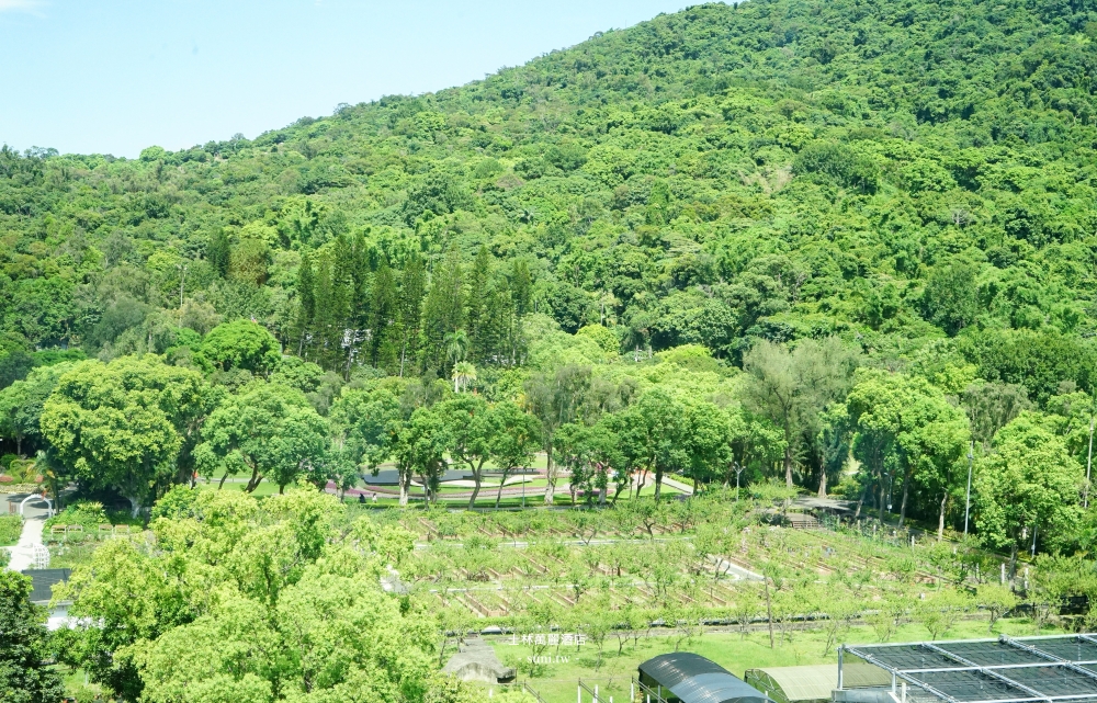 士林萬麗酒店｜台北住宿推薦。隱身市區無邊際游泳池~挑高山景客房