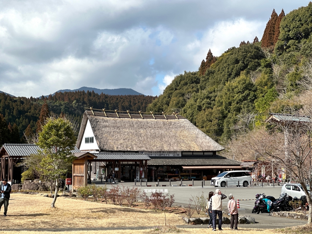 宮崎賞櫻景點|道の駅酒谷櫻花。秘境賞櫻在地農產品+粉色山谷一次收集 宮崎賞櫻景點|道の駅酒谷櫻花。秘境賞櫻在地農產品+粉色山谷一次收集