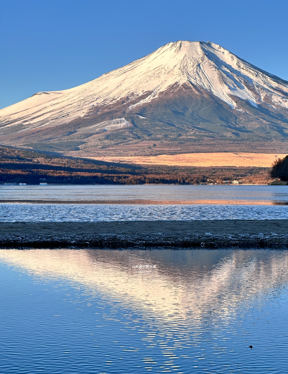 山中湖景點推薦｜平野之濱夢幻夕燒富士山~富士山倒影