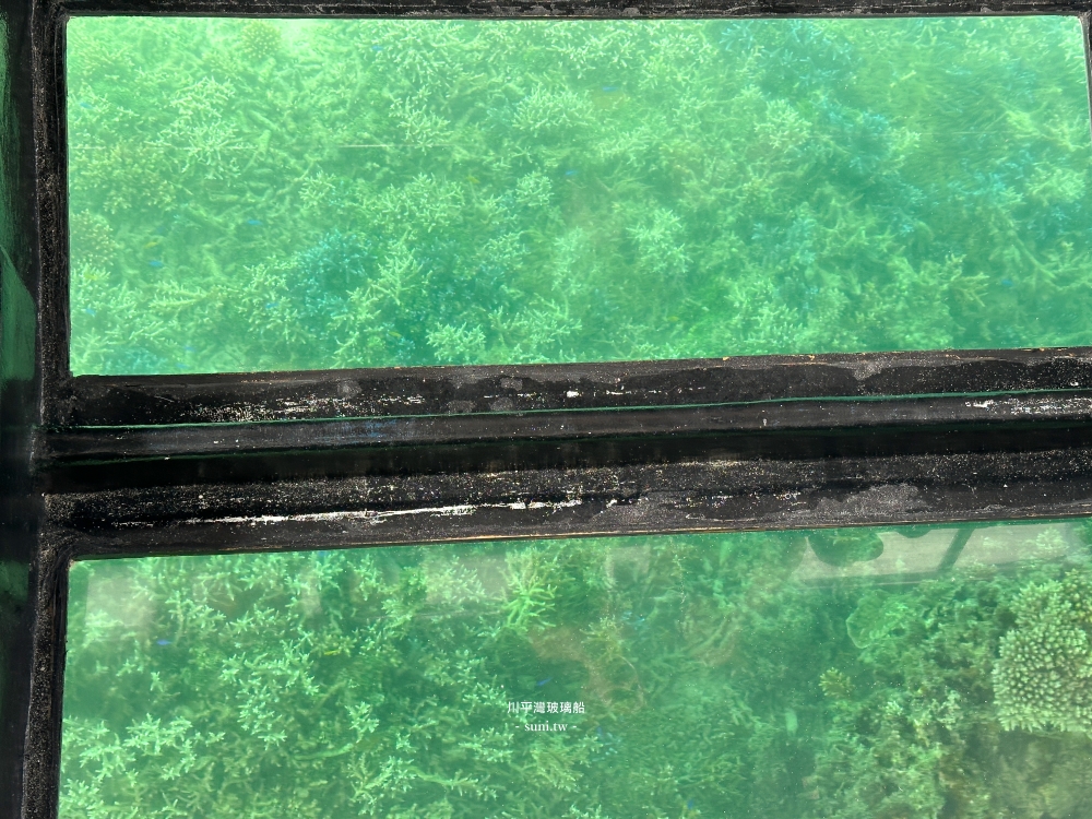 石垣島景點推薦|川平灣玻璃船免下海就能看海底生物、展望台吹風看海 石垣島景點推薦|川平灣玻璃船免下海就能看海底生物、展望台吹風看海