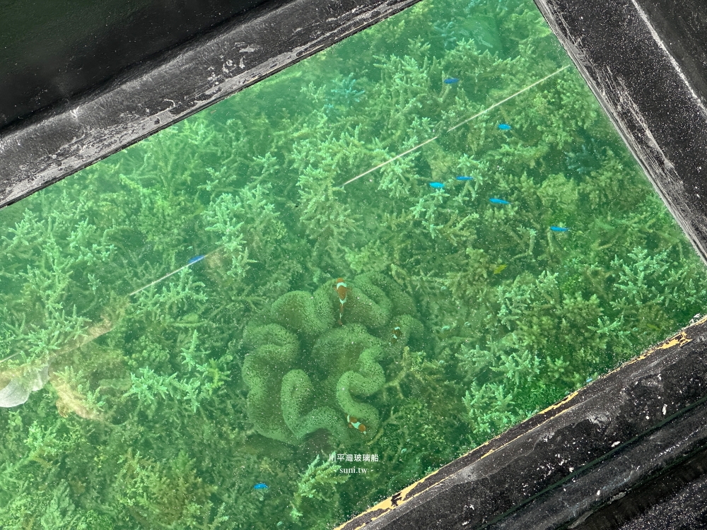 石垣島景點推薦｜川平灣玻璃船免下海就能看海底生物、展望台吹風看海