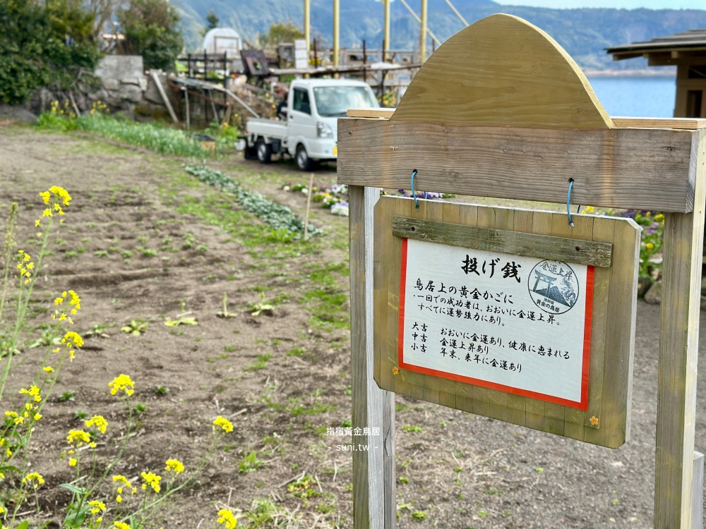 鹿兒島指宿黃金鳥居|湖上鳥居絕景+投錢到籃子上開運祈福一次完成! 鹿兒島指宿黃金鳥居|湖上鳥居絕景+投錢到籃子上開運祈福一次完成!