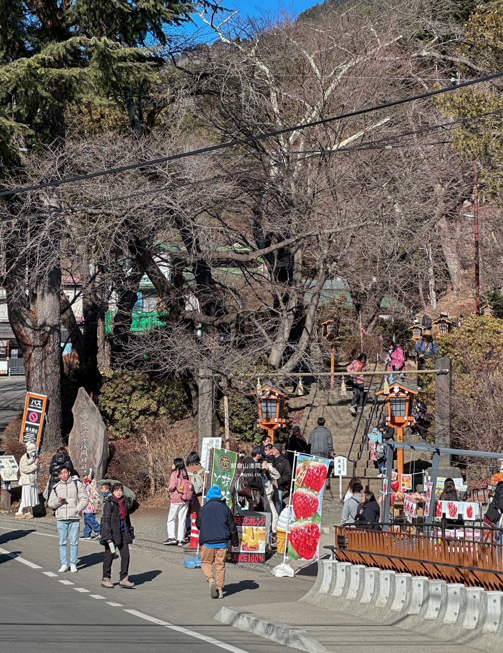 河口湖景點推薦｜新倉山淺間公園。富士山與五重塔~冬天會有櫻花美景