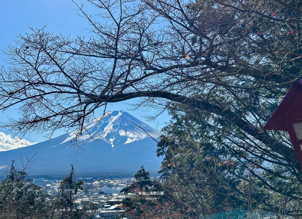 河口湖景點推薦|新倉山淺間公園。富士山與五重塔~冬天會有櫻花美景 河口湖景點推薦|新倉山淺間公園。富士山與五重塔~冬天會有櫻花美景