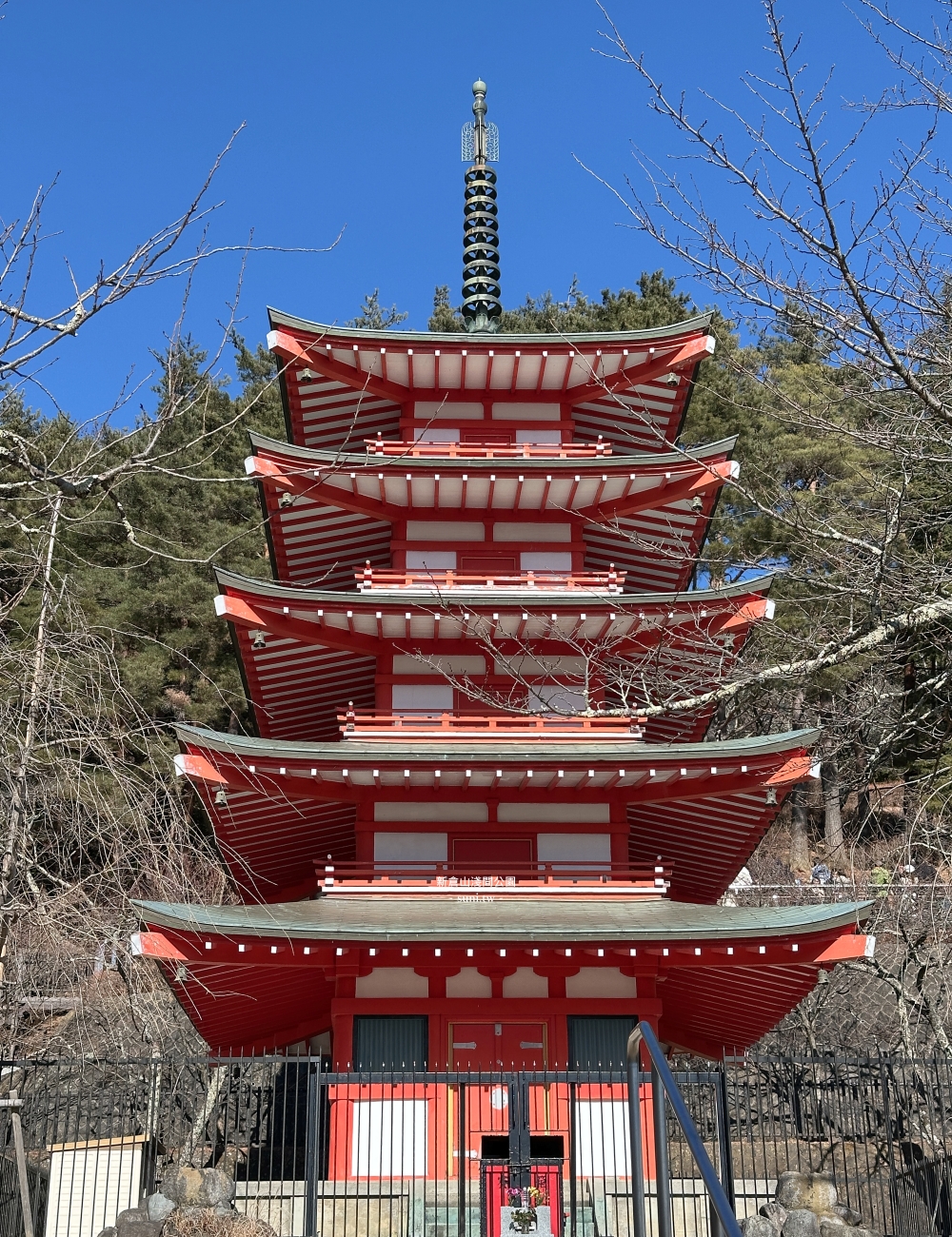 河口湖景點推薦｜新倉山淺間公園。富士山與五重塔~冬天會有櫻花美景