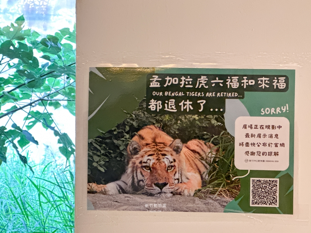 新竹市立動物園｜紅毛猩猩、馬來熊、河馬(交通票價)