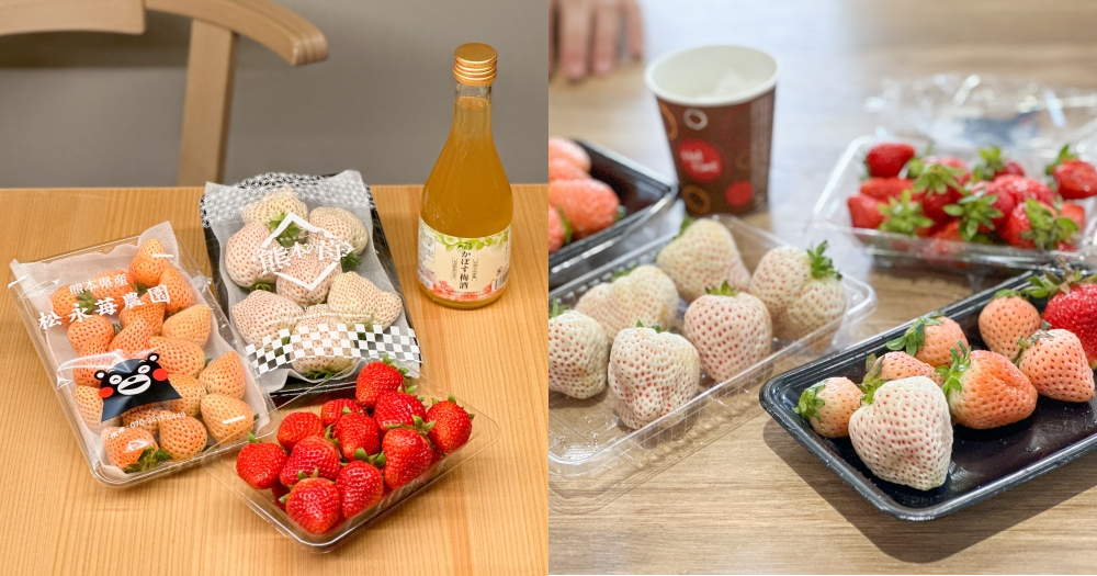 網站近期文章：日本九州草莓｜9個品種~草莓季享受夢幻白草莓吃到飽！天使草莓、淡雪價位
