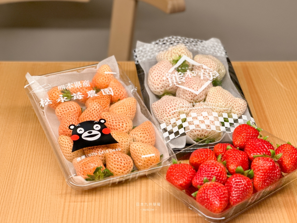 日本九州草莓｜9個品種~草莓季享受夢幻白草莓吃到飽！天使草莓、淡雪價位