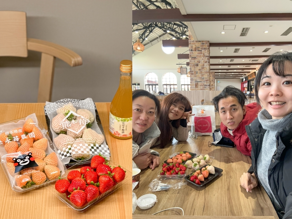 日本九州草莓｜9個品種~草莓季享受夢幻白草莓吃到飽！天使草莓、淡雪價位