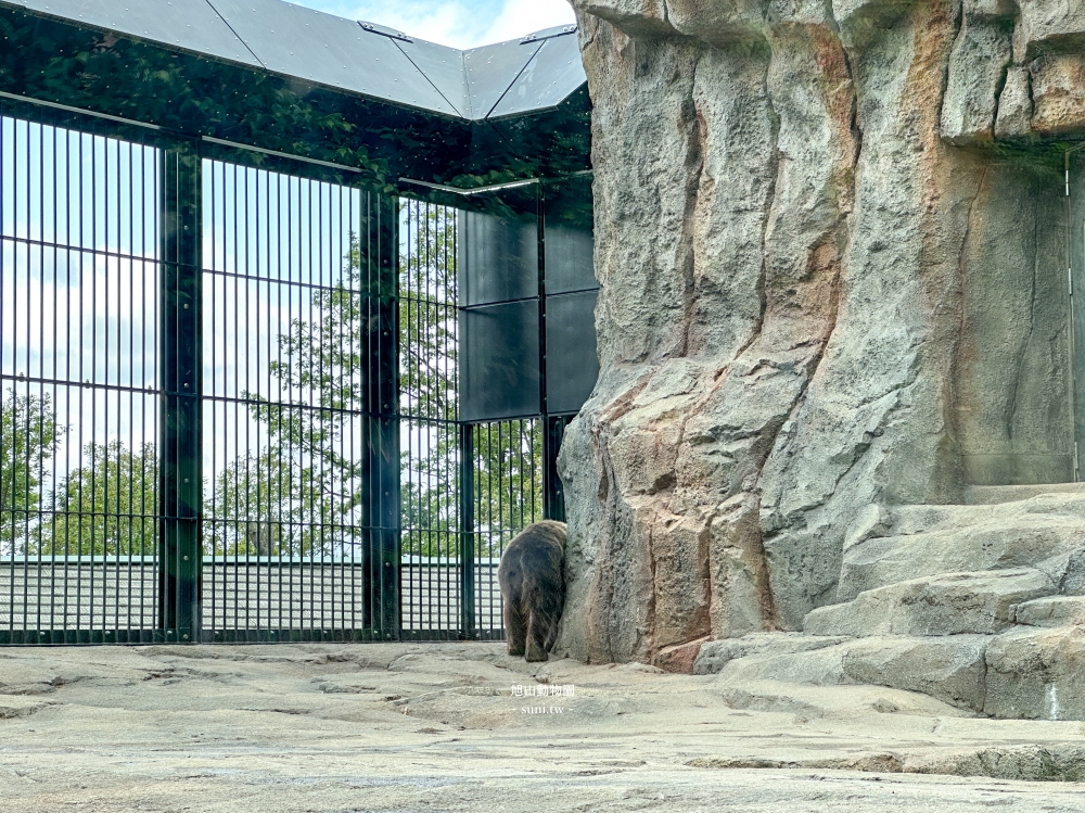 旭山動物園|北海道旭川景點。近距離看可愛北極熊、企鵝餵食秀(門票/地圖/推薦動線) 旭山動物園|北海道旭川景點。近距離看可愛北極熊、企鵝餵食秀(門票/地圖/推薦動線)