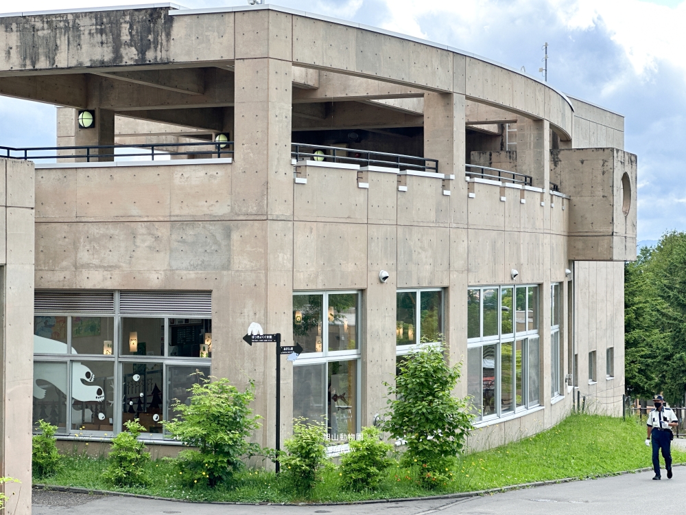 旭山動物園｜北海道旭川景點。近距離看可愛北極熊、企鵝餵食秀(門票/地圖/推薦動線)