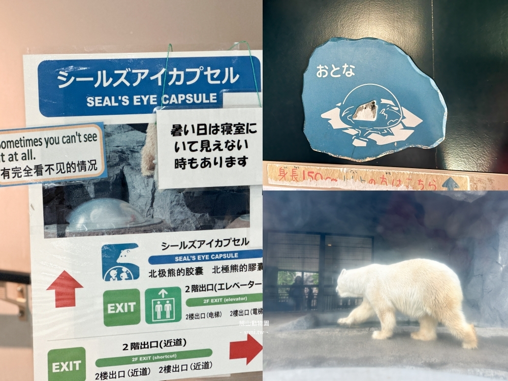 旭山動物園|北海道旭川景點。近距離看可愛北極熊、企鵝餵食秀(門票/地圖/推薦動線) 旭山動物園|北海道旭川景點。近距離看可愛北極熊、企鵝餵食秀(門票/地圖/推薦動線)