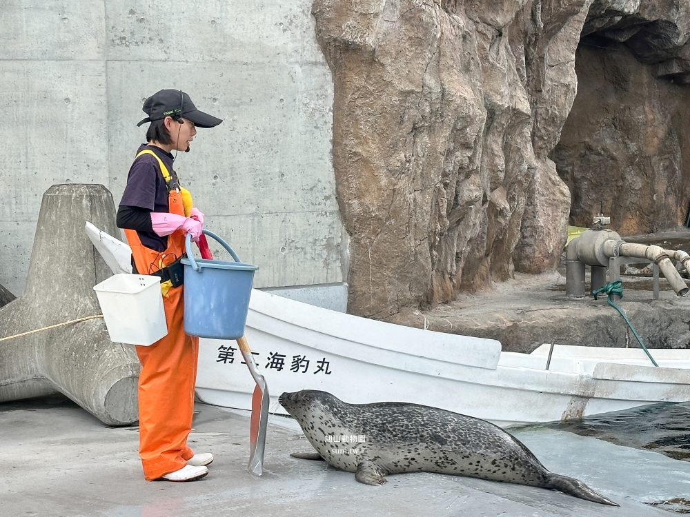 旭山動物園|北海道旭川景點。近距離看可愛北極熊、企鵝餵食秀(門票/地圖/推薦動線) 旭山動物園|北海道旭川景點。近距離看可愛北極熊、企鵝餵食秀(門票/地圖/推薦動線)