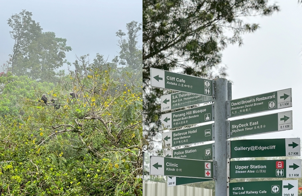 升旗山Penang Hill攻略2026｜檳城必去景點纜車票價、The Habitat生態公園、360度美景