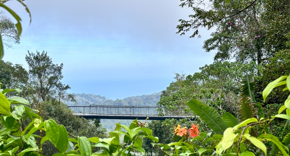 升旗山Penang Hill攻略2026｜檳城必去景點纜車票價、The Habitat生態公園、360度美景