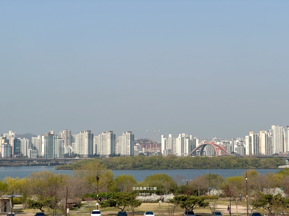 汝矣島漢江公園｜首爾櫻花景點。地鐵旁交通便利~櫻花盛開封路