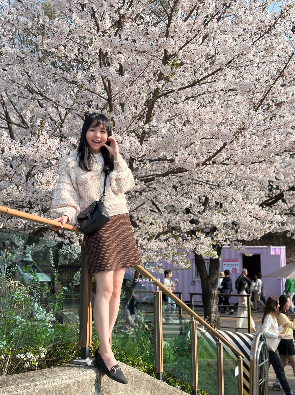 汝矣島漢江公園｜首爾櫻花景點。地鐵旁交通便利~櫻花盛開封路