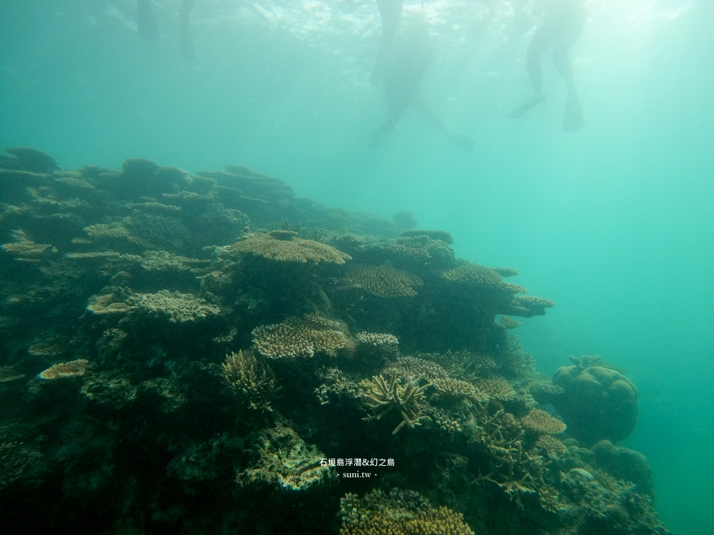 石垣島自由行推薦｜浮潛和幻之島登陸行程~沒經驗不會游泳也可以體驗