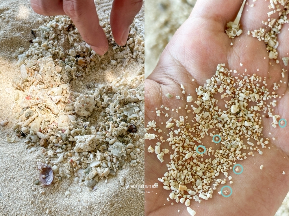 石垣島自由行推薦｜跳島到竹富島~夢幻星砂海灘！船票時間