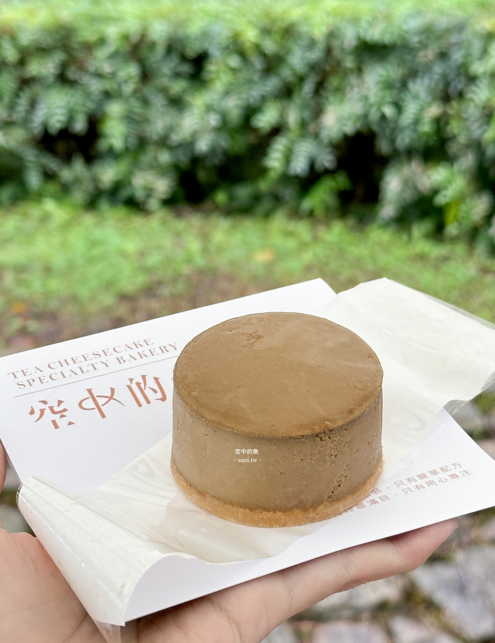 南投伴手禮推薦｜空中的魚。不添加麵粉~靠雞蛋和乳脂肪製成的純粹乳酪蛋糕