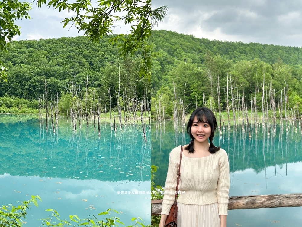 美瑛富良野一日遊行程|5個免費景點推薦四季彩之丘、美瑛白金青池、白鬚瀑布、日之出公園展望台、富田農場 美瑛富良野一日遊行程|5個免費景點推薦四季彩之丘、美瑛白金青池、白鬚瀑布、日之出公園展望台、富田農場