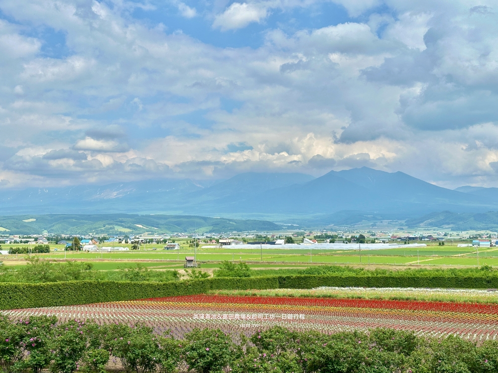 美瑛富良野一日遊行程｜5個免費景點推薦四季彩之丘、美瑛白金青池、白鬚瀑布、日之出公園展望台、富田農場