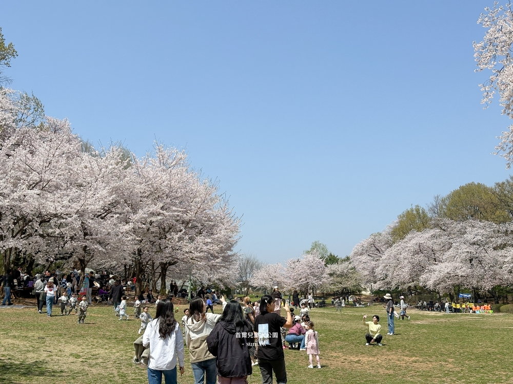 首爾兒童大公園|市區必去櫻花景點。免費動物園、植物園~ 首爾兒童大公園|市區必去櫻花景點。免費動物園、植物園~