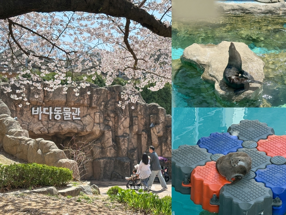 首爾兒童大公園｜市區必去櫻花景點。免費動物園、植物園~