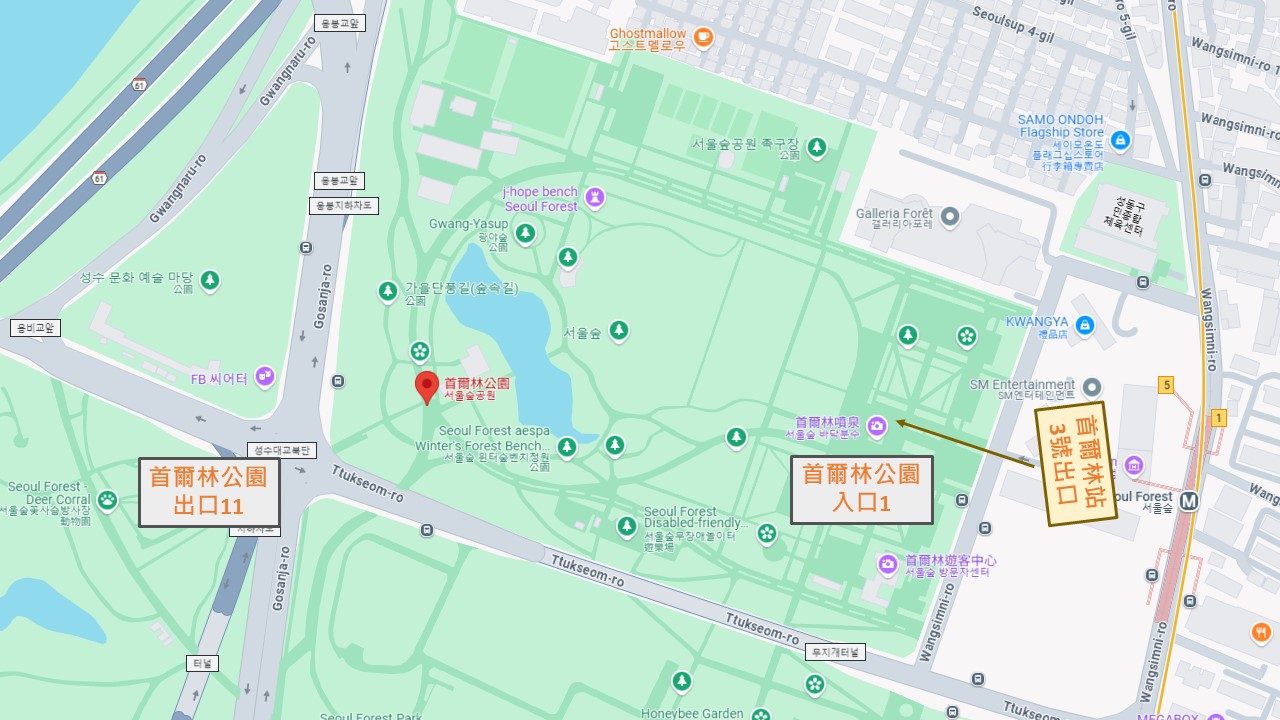 首爾林必去！賞櫻花、免費看梅花鹿，首爾林站步行即到