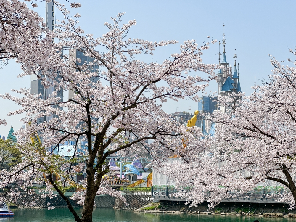 石村湖水公園｜首爾必去櫻花景點。樂天世界樂園城堡、首爾最高塔Seoul Sky