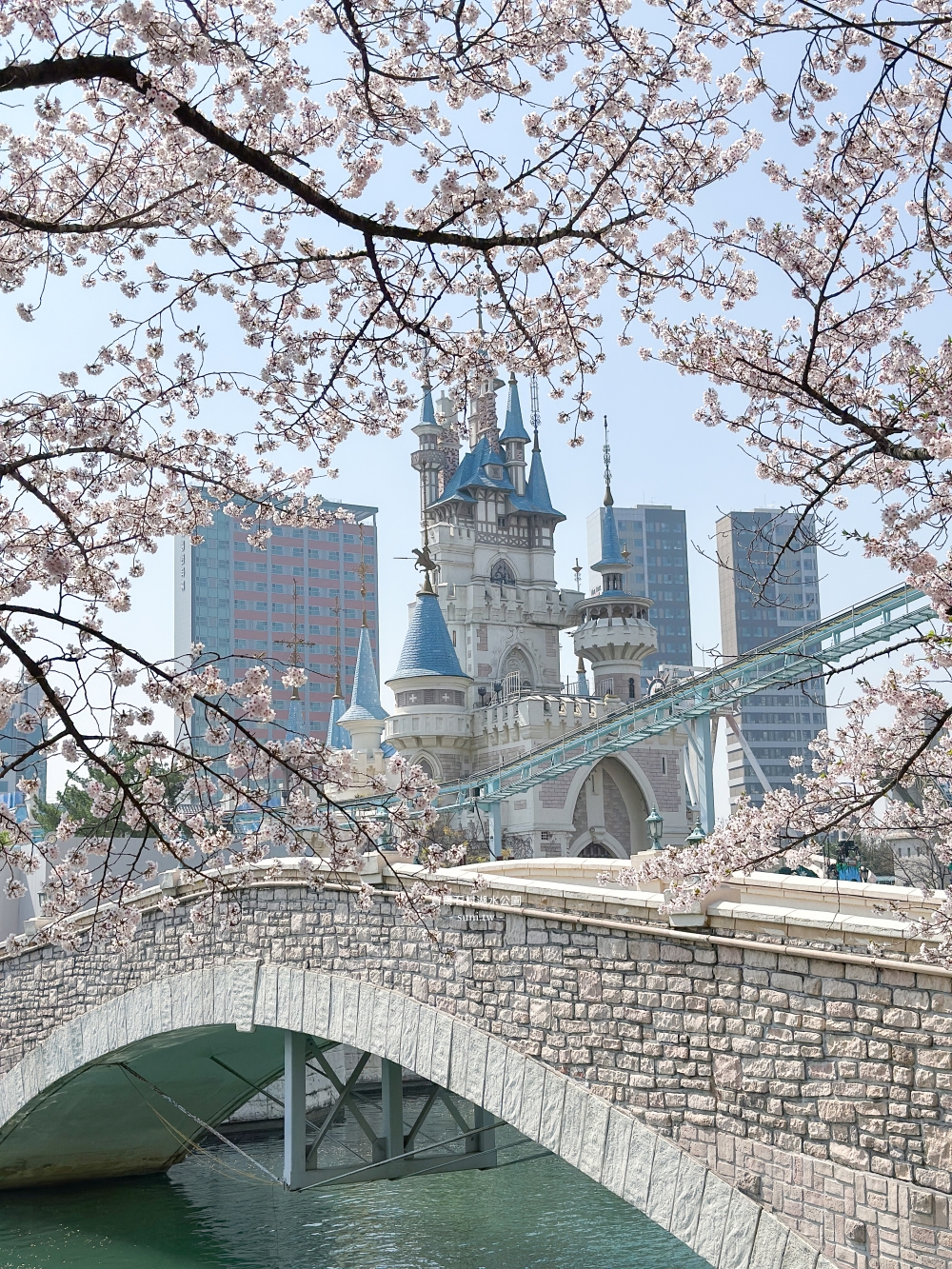 石村湖水公園｜首爾必去櫻花景點。樂天世界樂園城堡、首爾最高塔Seoul Sky