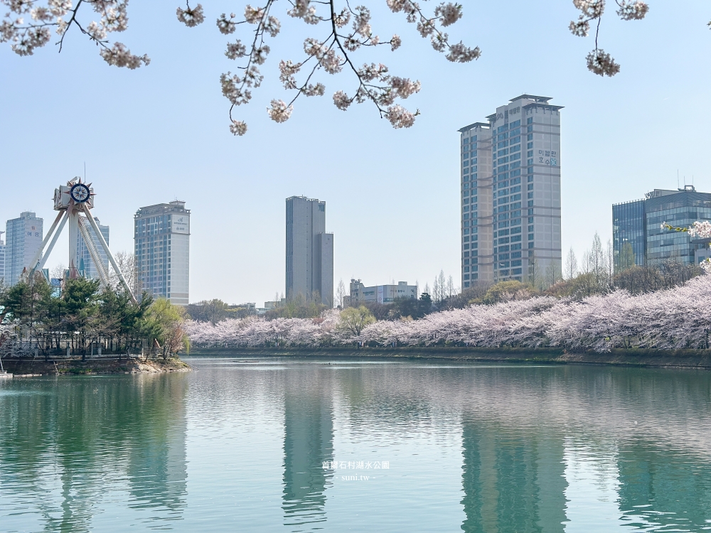 石村湖水公園｜首爾必去櫻花景點。樂天世界樂園城堡、首爾最高塔Seoul Sky