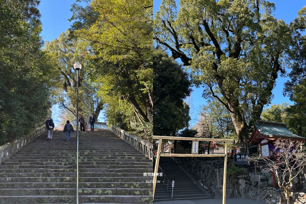 鹿兒島景點|鹿兒島神宮。南九州300年歷史神宮~來吸最強能量、天花板彩繪 鹿兒島景點|鹿兒島神宮。南九州300年歷史神宮~來吸最強能量、天花板彩繪